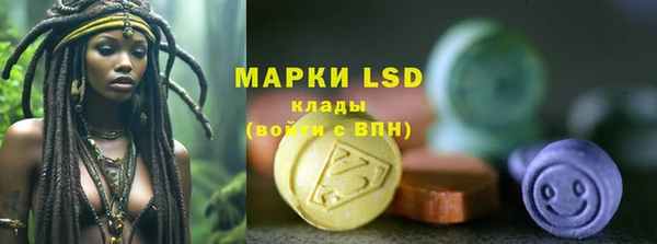 спайс Мегион