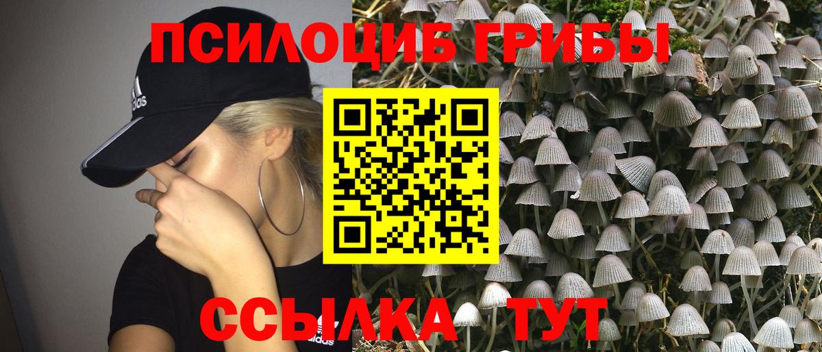 Псилоцибиновые грибы Magic Shrooms  Вход с VPN  Изобильный 