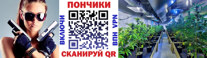 как найти закладки  Изобильный  Конопля Amnesia 